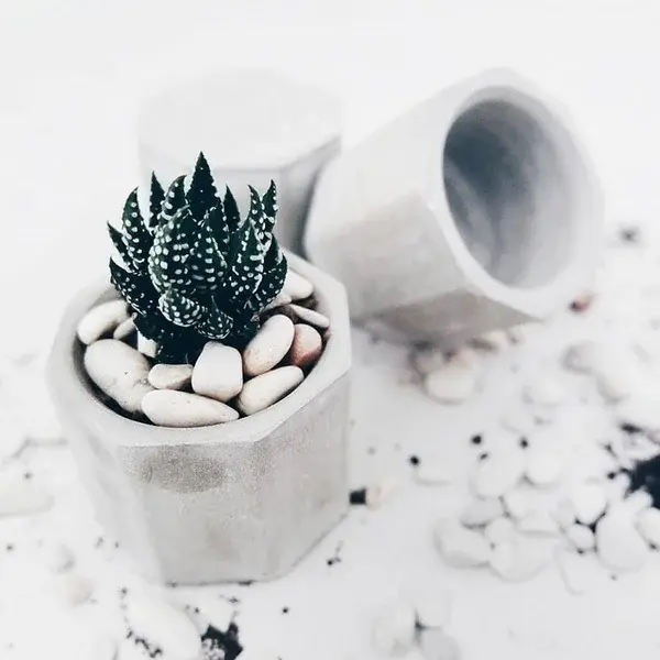 1Pcs Fleshy Flower Pot Silicone Mold Octagonal 3 Holes Concrete Mould Candlestick Mold Ceramic Clay Mold Color Random