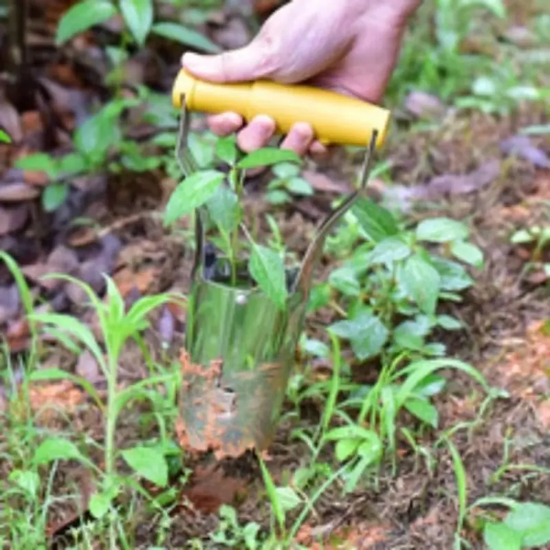 1 Pcs Seedling Transplanter Vegetable Flower Planter Transplanters Household Multifunctional Agricultural Tools Gardening Plant
