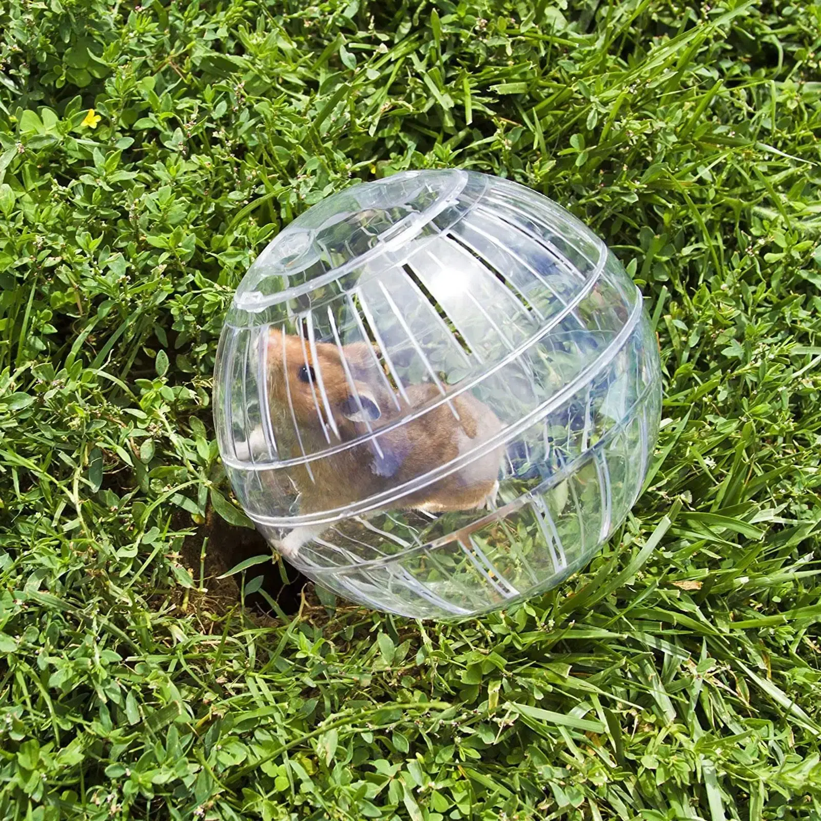 Outdoor Sport Ball Grounder Rat Small Pet Rodent Mice Ball Balls Rat 10cm Exercise Hamster Gerbil Play Toys Jogging Toys