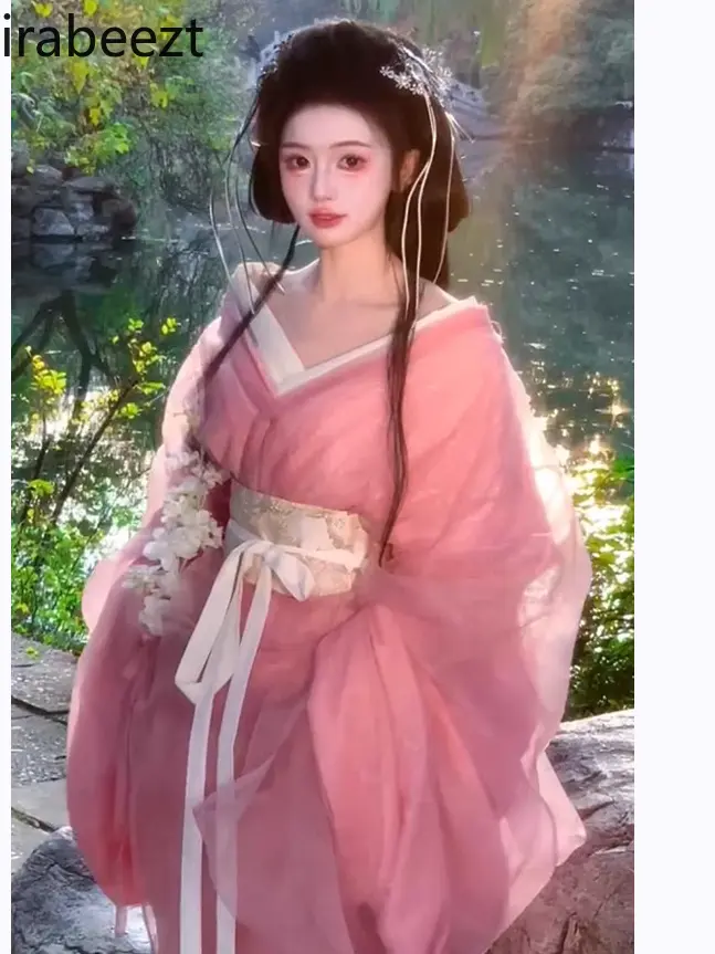 Pink Cross Collar Costume Wei Jin Dynasty Straight Hem Warring States Robe Chinese Traditional Dress for Women