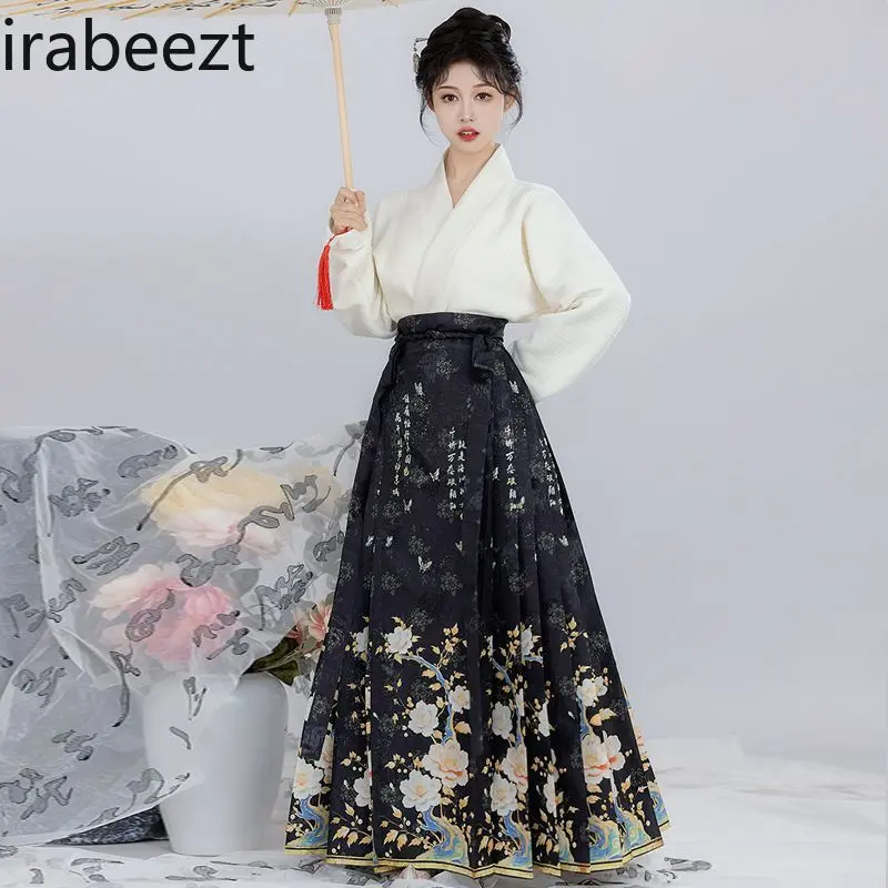 Plus Size Ming Dynasty Hanfu Skirt Set for Women Traditional Chinese Embroidered Horse Face Dress Spring Autumn Winter Outfit