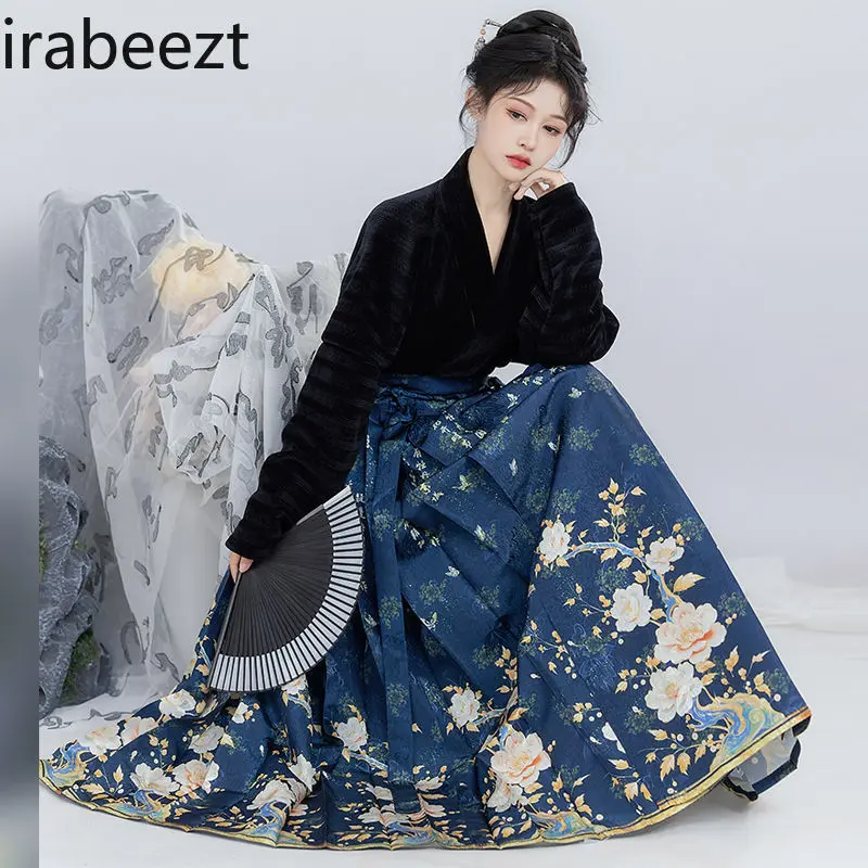 Plus Size Ming Dynasty Hanfu Skirt Set for Women Traditional Chinese Embroidered Horse Face Dress Spring Autumn Winter Outfit