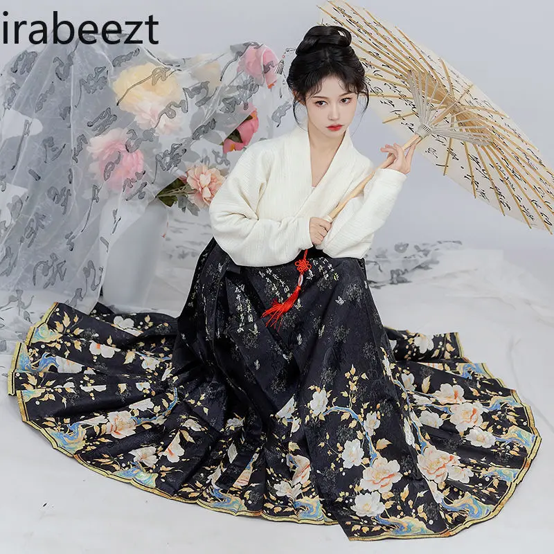 Plus Size Ming Dynasty Hanfu Skirt Set for Women Traditional Chinese Embroidered Horse Face Dress Spring Autumn Winter Outfit