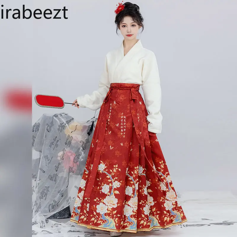Plus Size Ming Dynasty Hanfu Skirt Set for Women Traditional Chinese Embroidered Horse Face Dress Spring Autumn Winter Outfit