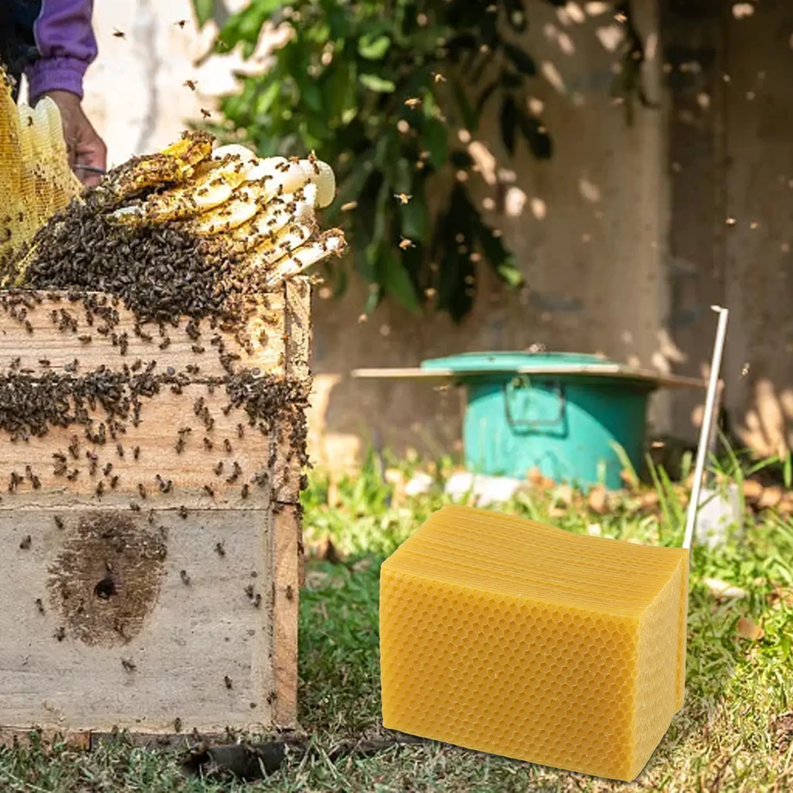 30 Piece Beeswax Foundation Sheets Perfect for Beekeeping and DIY Candle Making Essential For Nesting Material