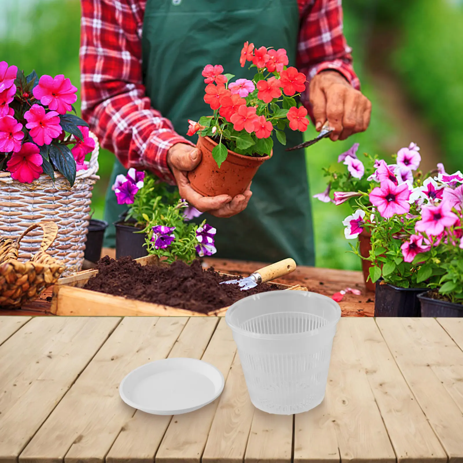 Indoor Planting Outdoor Planting Orchid Pot Plastic Orchid Pot Drainage Holes Good Internal Air Circulation Modern Design