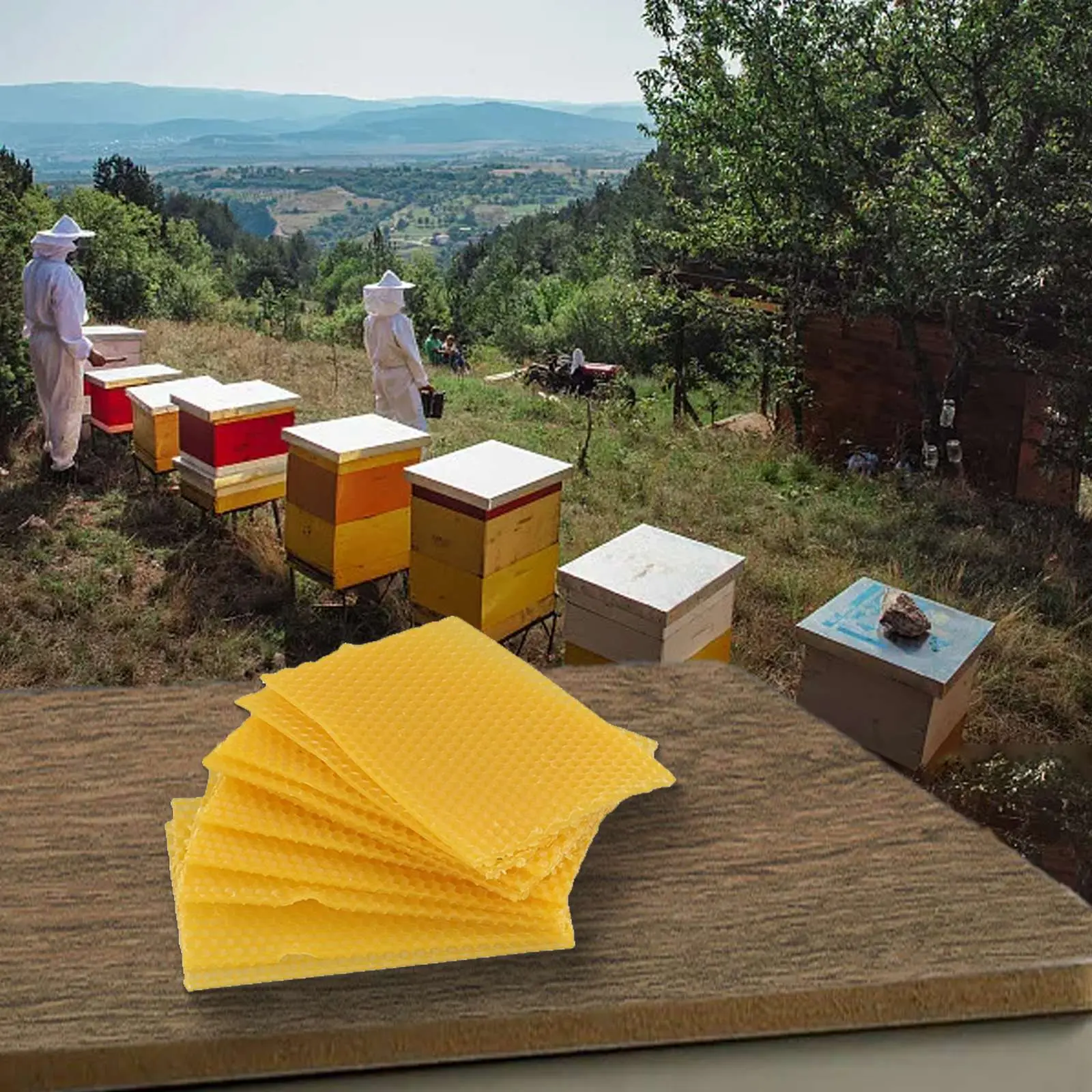 Bee Hive Wax Frames 354honeycomb Aroma Beeswax Candle-making DIY Equipmentsweet Golden-yellow Handicrafts Honey X