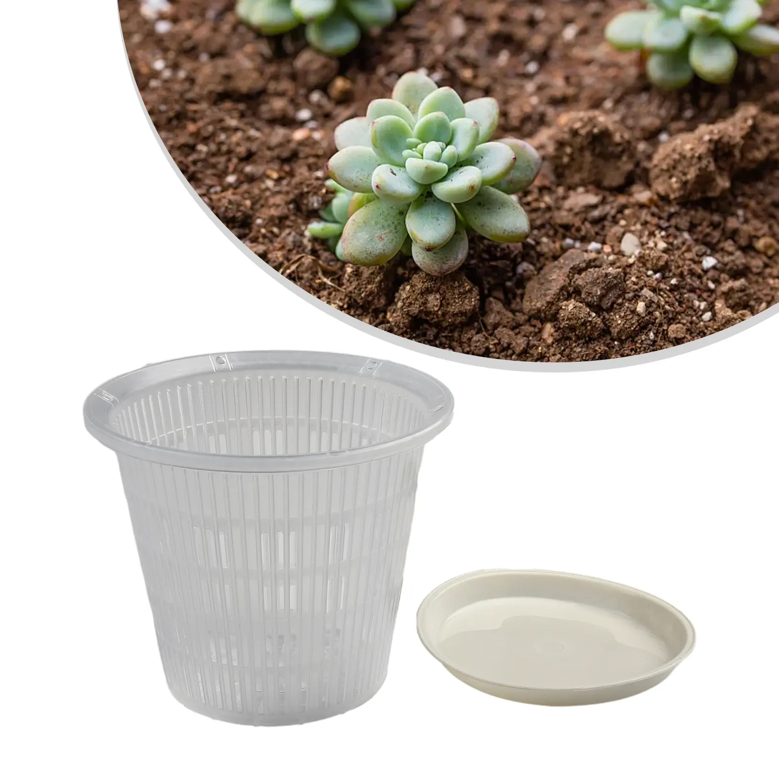 Plant Pot Flower Pot Root-Controlled Washable Corrosion-Resistant Clear Flower Pot Stand Kits Light-transmitting