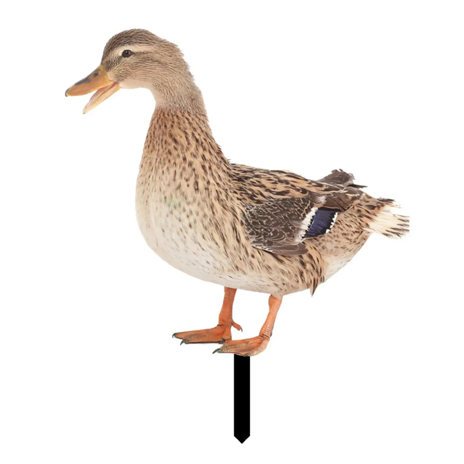 324