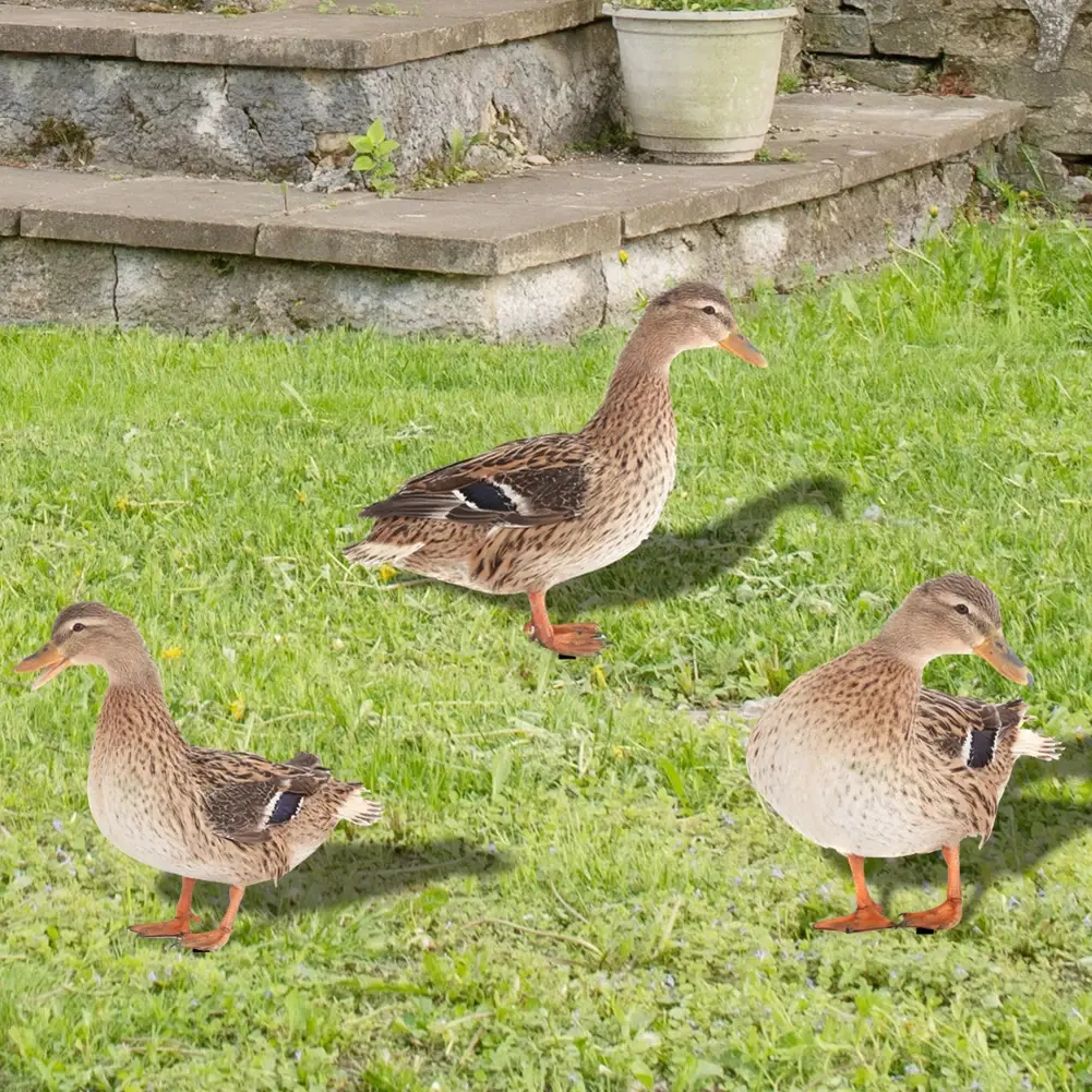 1pcs Acrylic Duck Garden Stake Garden Decoration Chicken Garden Figures Yard Garden Statue Decor Outdoor Lawn Decor Decoration