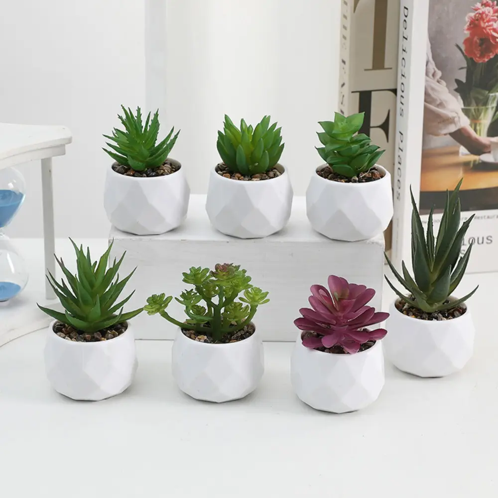 Mini Artificial Succulent Bonsai Plants Simulation Succulents Mini Evergreen Bonsai Cactus Succulent Plastic Fake Plants Decor
