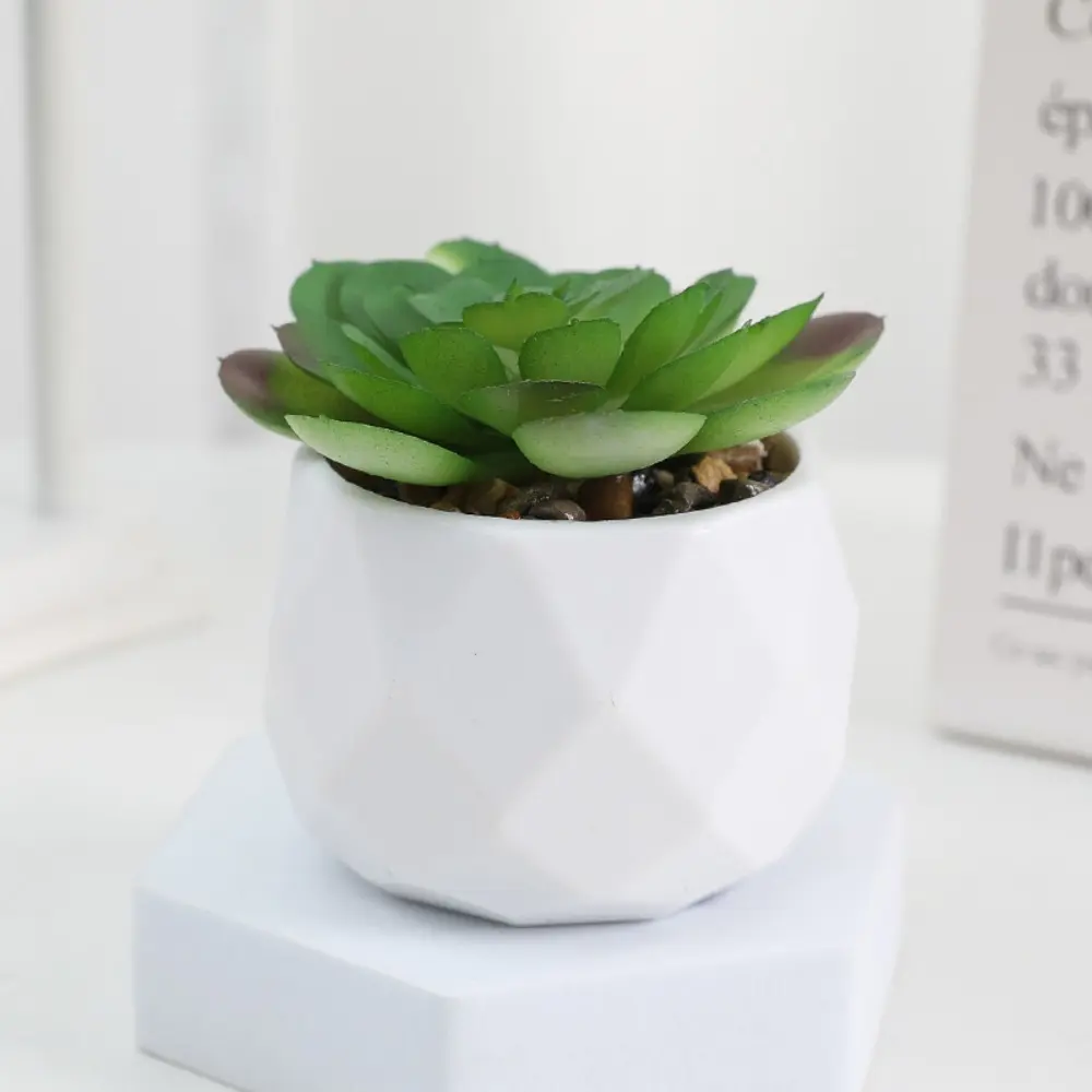 Mini Artificial Succulent Bonsai Plants Simulation Succulents Mini Evergreen Bonsai Cactus Succulent Plastic Fake Plants Decor