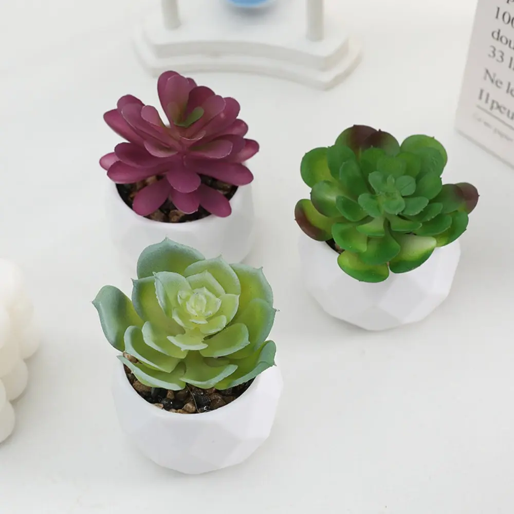 Mini Artificial Succulent Bonsai Plants Simulation Succulents Mini Evergreen Bonsai Cactus Succulent Plastic Fake Plants Decor