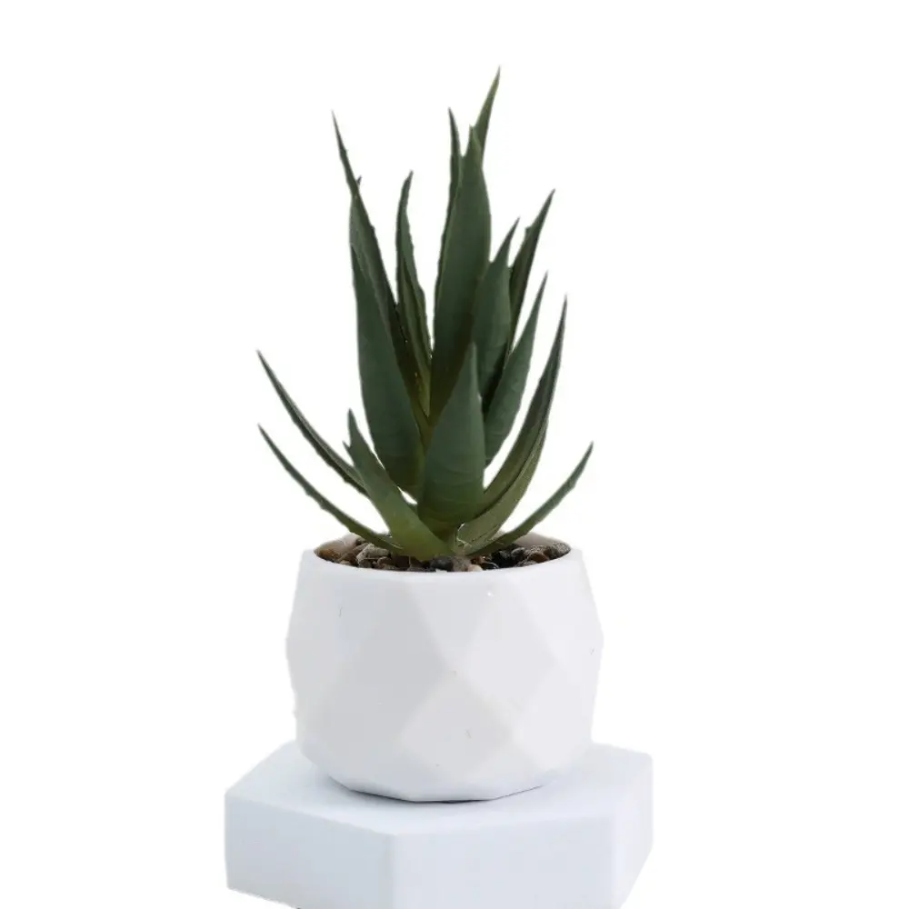 Mini Artificial Succulent Bonsai Plants Simulation Succulents Mini Evergreen Bonsai Cactus Succulent Plastic Fake Plants Decor