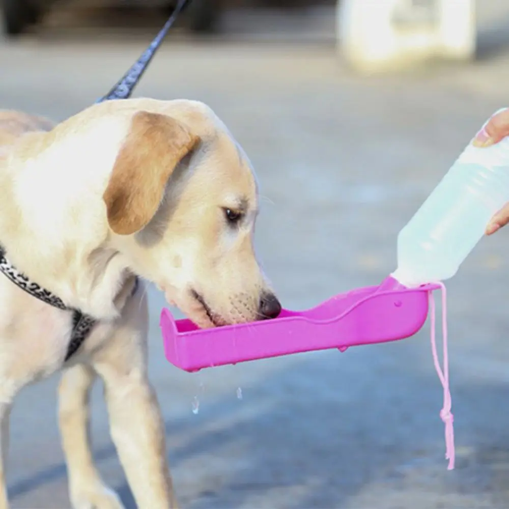 Portable Pet Dog Water Bottle Travel Cup Drinking Bowl Outdoor Feeder Dispenser Pet Supply For Small Large Dog Puppy Cat