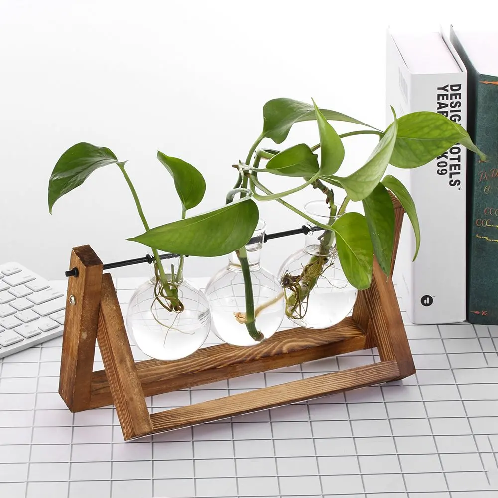 Hydroponic Plant Vases Glass Vase Vintage Bonsai Flower Pot Terrarium Tabletop Tray Wooden Frame Home Decor