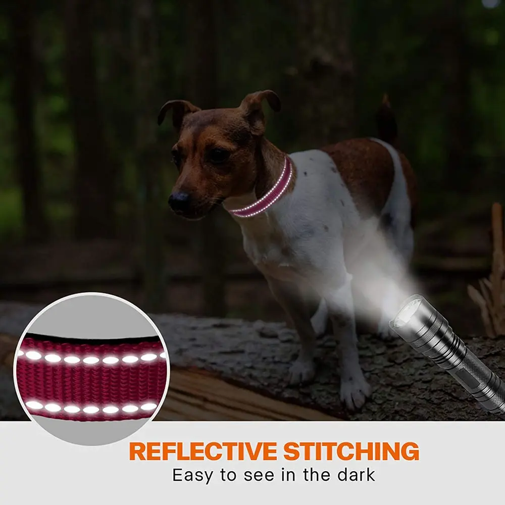Reflective Padded Dog Collar Durable Strong Double D Ring Safety Nylon Pet Dog Collars Adjustable for Small Medium Large Dogs