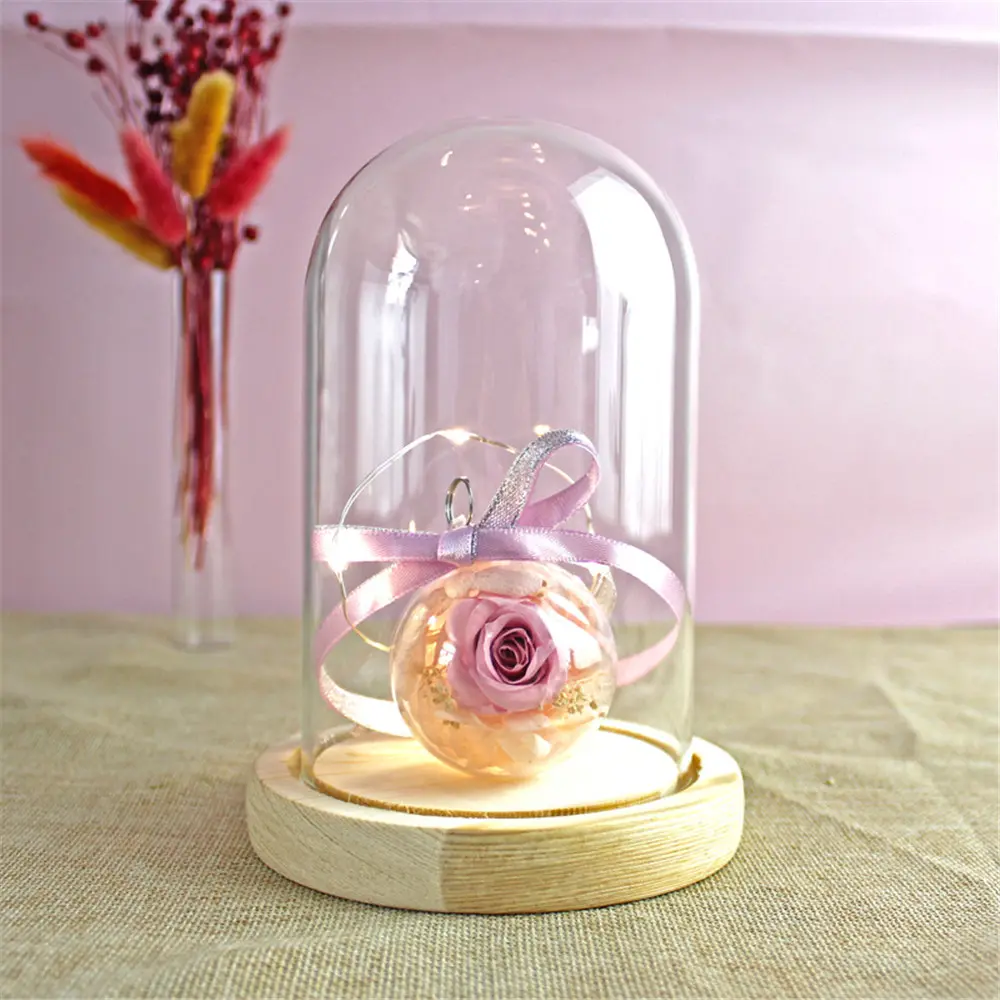 Glass Cloche Jar Display Stand Cover Terrarium Bottle with Wooden Base Acrylic Dust Cover Display Box Immortal Flower Box