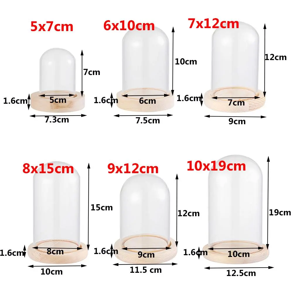 Glass Cloche Jar Display Stand Cover Terrarium Bottle with Wooden Base Acrylic Dust Cover Display Box Immortal Flower Box
