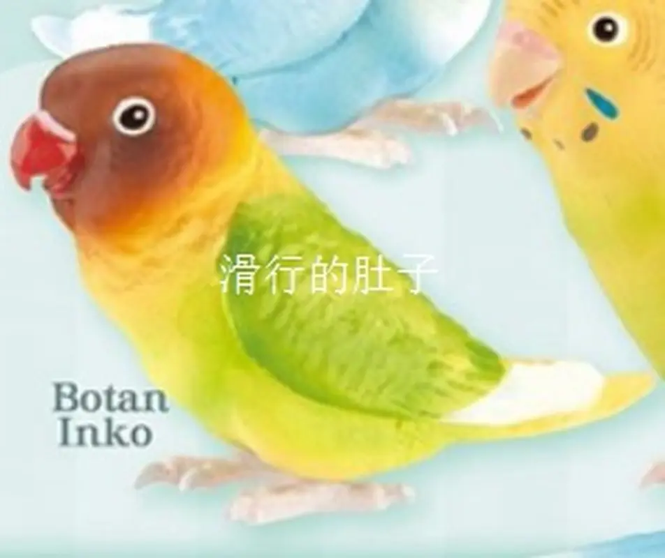 [In Stock] Japan Shine-G Long-Tailed Parrot 'Cute Life' Figure - Gashapon Collectible Decorb Adorable Bird-Themed Toy