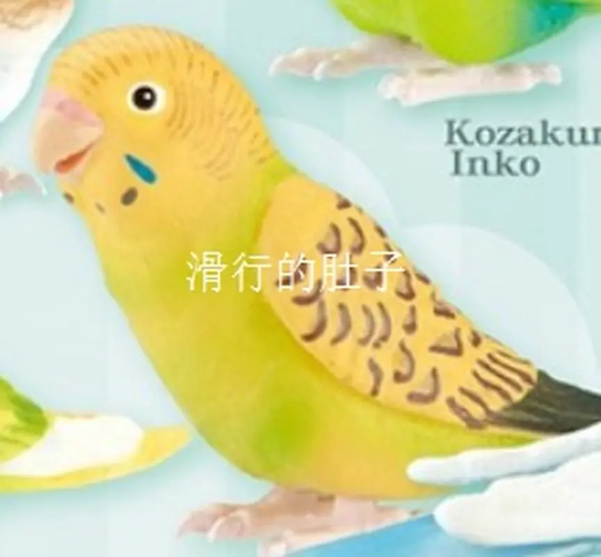 [In Stock] Japan Shine-G Long-Tailed Parrot 'Cute Life' Figure - Gashapon Collectible Decorb Adorable Bird-Themed Toy