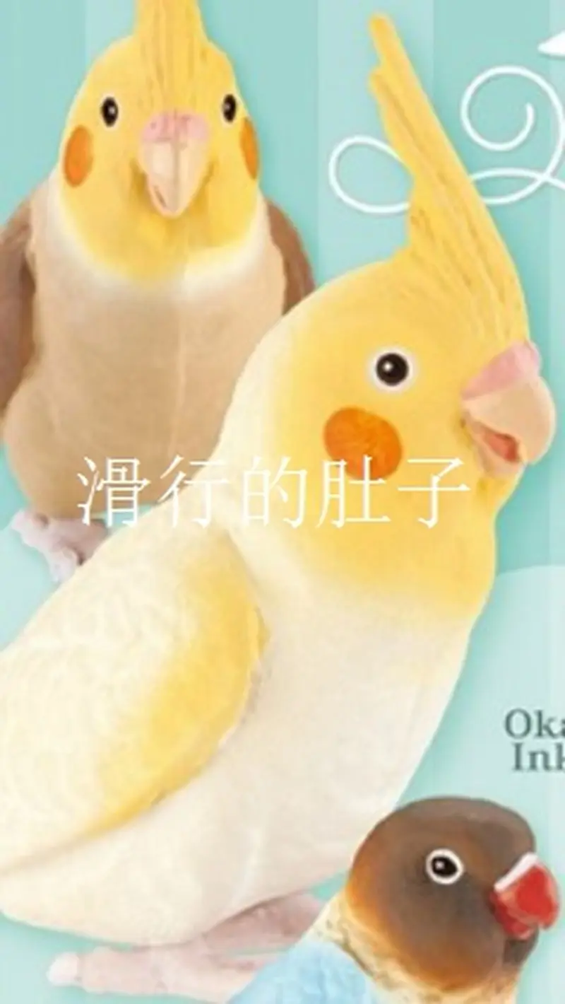 [In Stock] Japan Shine-G Long-Tailed Parrot 'Cute Life' Figure - Gashapon Collectible Decorb Adorable Bird-Themed Toy