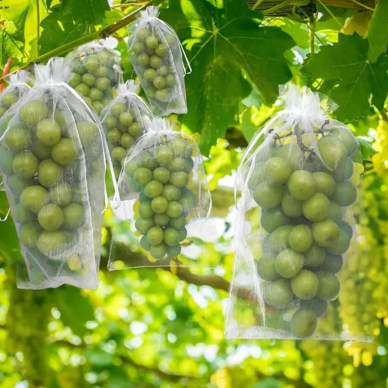 50pcs Fruit Protection Bags Anti-Bird Garden Netting Bags Strawberry Grapes Mesh Bag Plante Vegetable Netting Cover Garden Tool