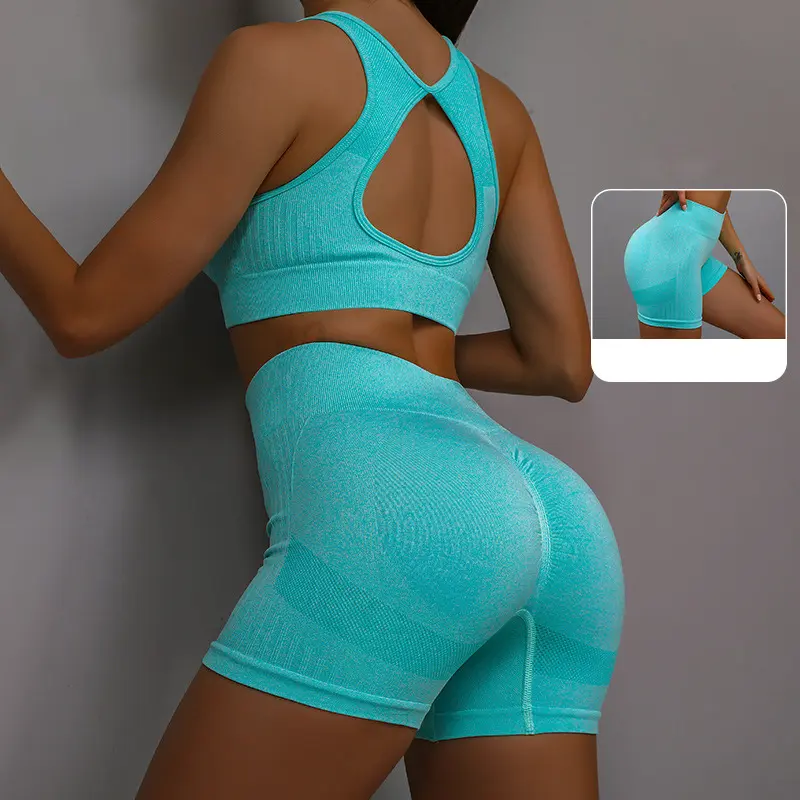 Yoga Suit Yoga Sports Underwear Women's Fitness Suit Vest Running Sports Yoga Shorts Set Yoga Set  Workout Set