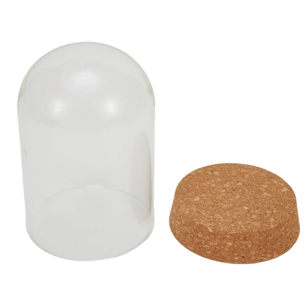 High Quality Useful Brand New Hot Plant Glass Cover Plants Vase Accessories DIY Decor Dome Table With Wood Cork