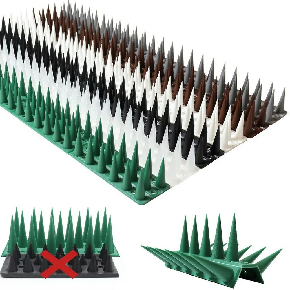 324