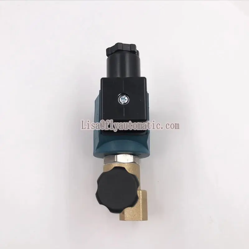 9934 Series CEME 2/2 Way G1/4" Solenoid Electric Valve / Iron Machine Solenoid Valve For Water Air Steam High Temperature