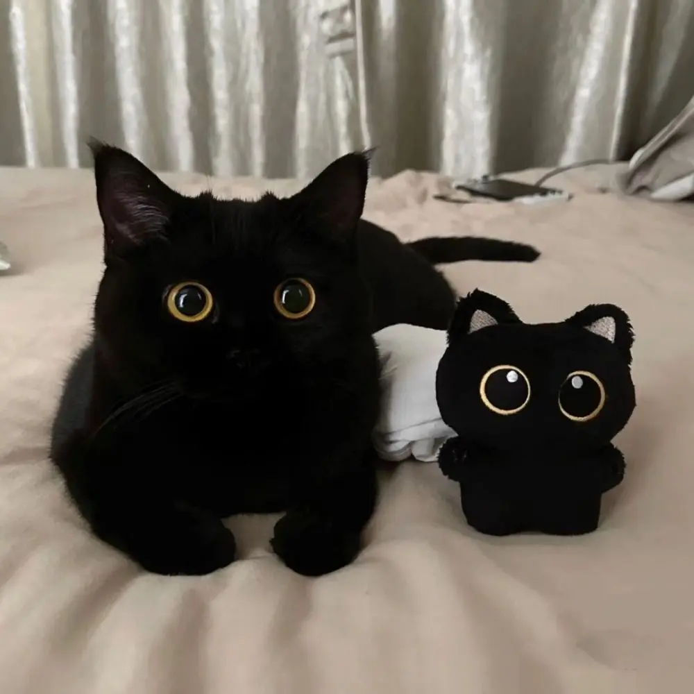 Cute Plush Cat Doll Keyring Black Cartoon Dolls Pendant Gift Desktop Decorations Bag Charms