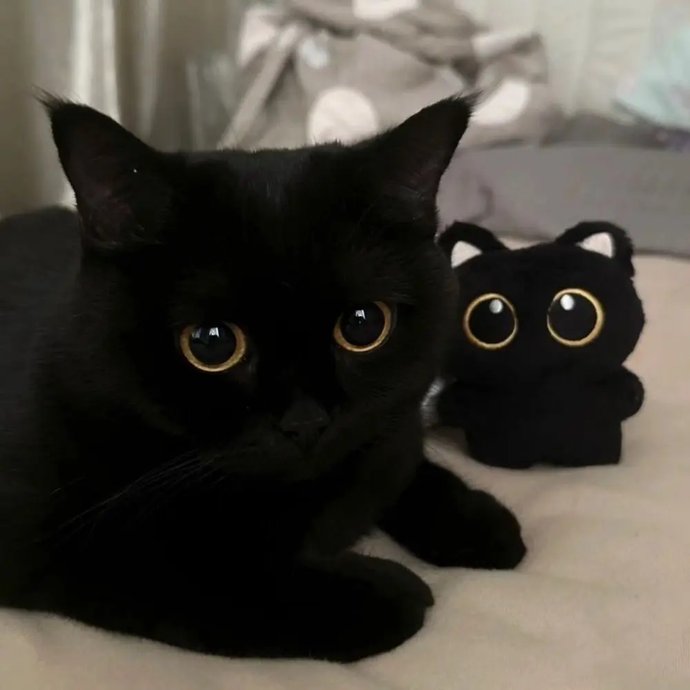 Cute Plush Cat Doll Keyring Black Cartoon Dolls Pendant Gift Desktop Decorations Bag Charms