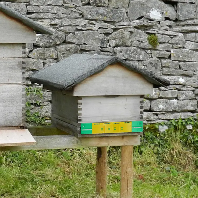 Beekeeping Sliding Travel Gates Professional Bee Hive Plastic Sliding Guards Beekeeping Tool Breeding Tool