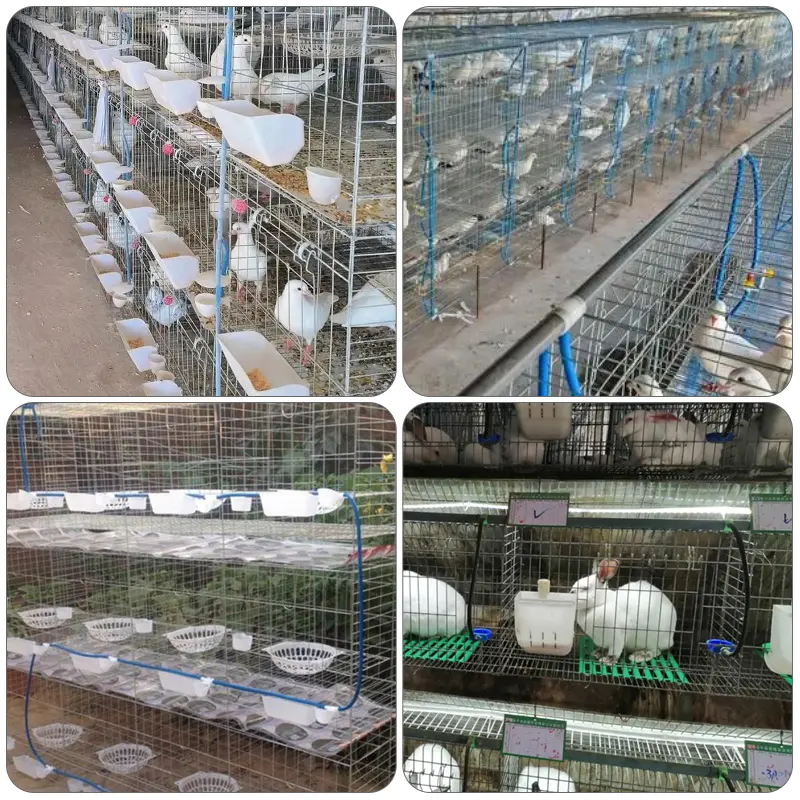 1m/3m/5m Rabbit Drinking Fountains Water Hose Animal Feeding Equipment Rabbit Drinker Feeding Accessories Irrigation hose