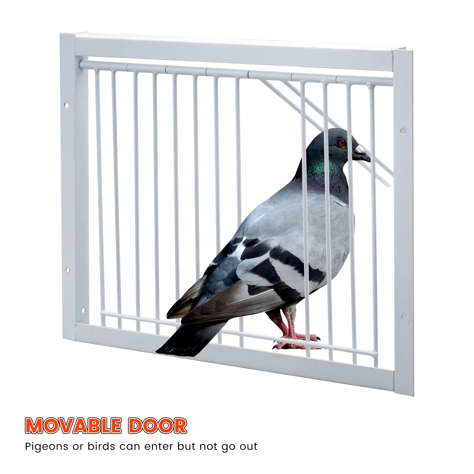 30cm Pigeon Cage Door Metal Wire Bars Frame Entrance Trapping Doors Loft Birds Supplies Catching Bar Entry Curtain Removable