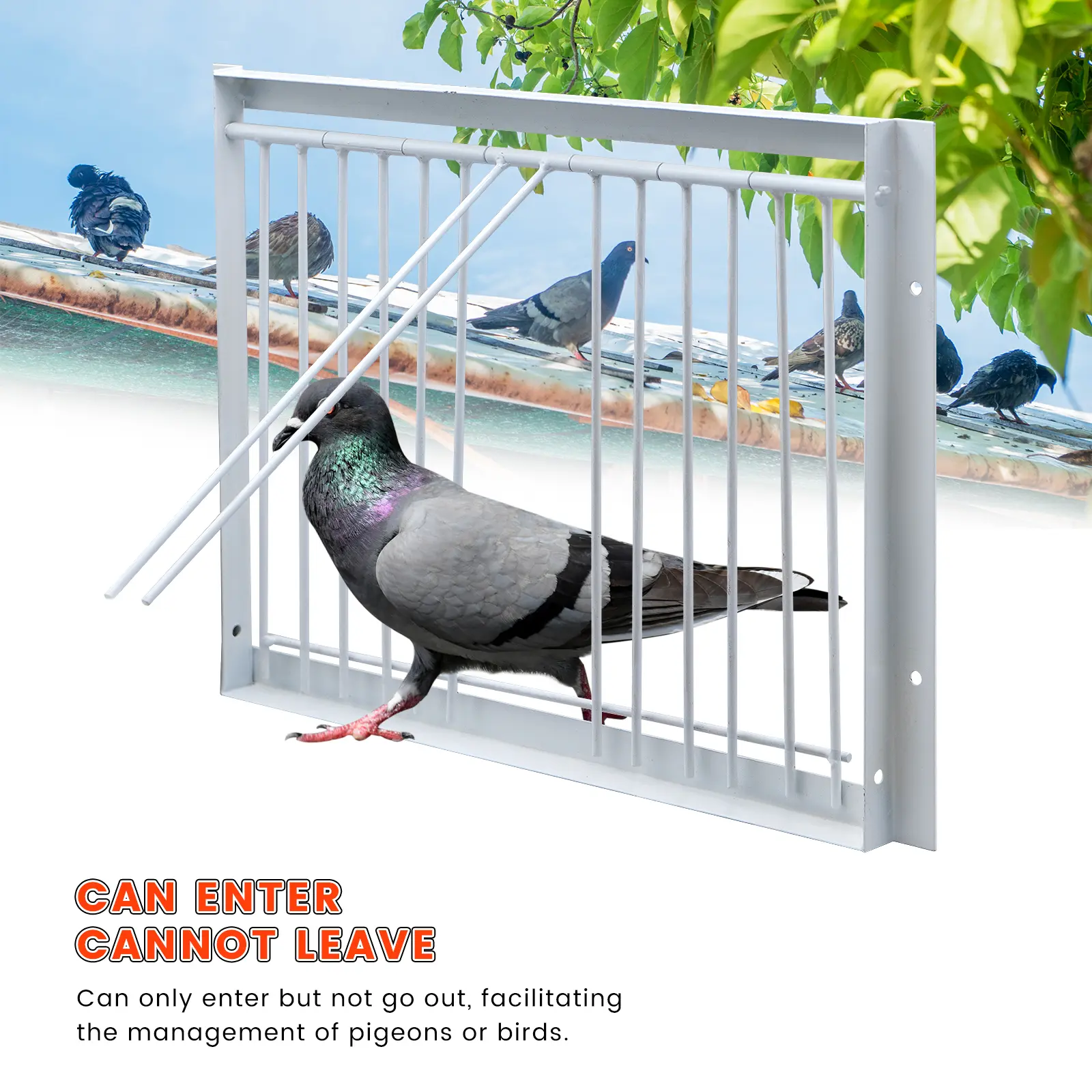30cm Pigeon Cage Door Metal Wire Bars Frame Entrance Trapping Doors Loft Birds Supplies Catching Bar Entry Curtain Removable