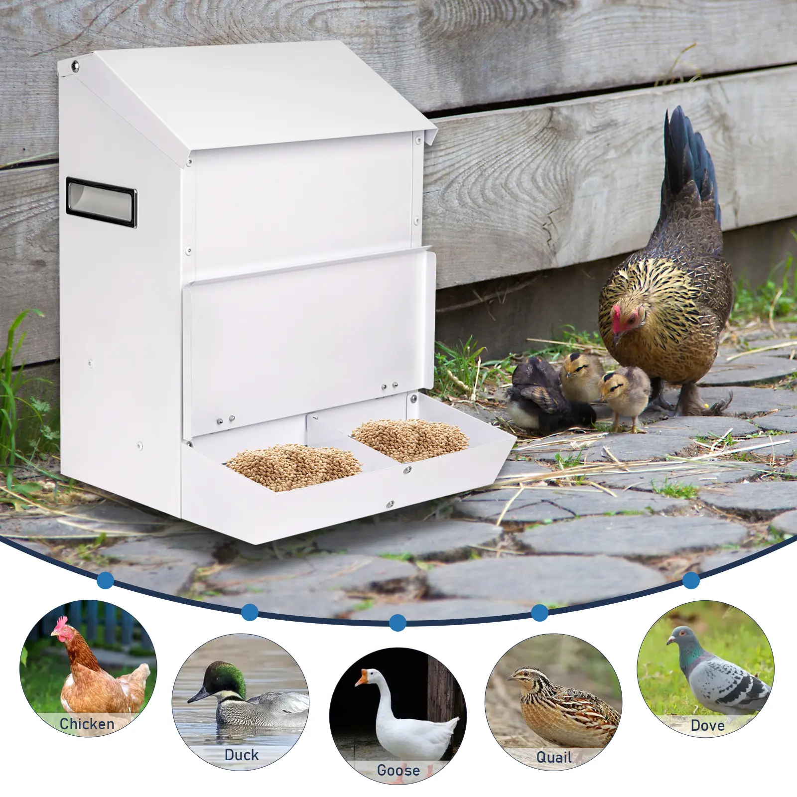 Automatic Galvanized Poultry Feeder Outdoor Hanging Chicken Feeder with Lid Food Dispenser Weatherproof Chicken Feeders No Waste