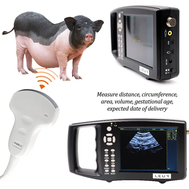 5.6 Inch LCD Screen Portable Veterinary Ultrasound Scanner Cattle Cow Pig sheep Horse farm Ultrasound pregnancy testing Machine
