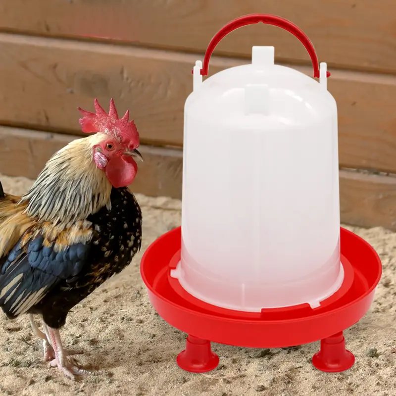 1.5KG/3KG Poultry Automatic Chicken Water Bucket Feeder Fountain Water Bucket Quail Drinking Farm Chicken Coop Water Supply