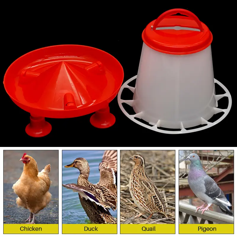 1.5KG/3KG Poultry Automatic Chicken Water Bucket Feeder Fountain Water Bucket Quail Drinking Farm Chicken Coop Water Supply