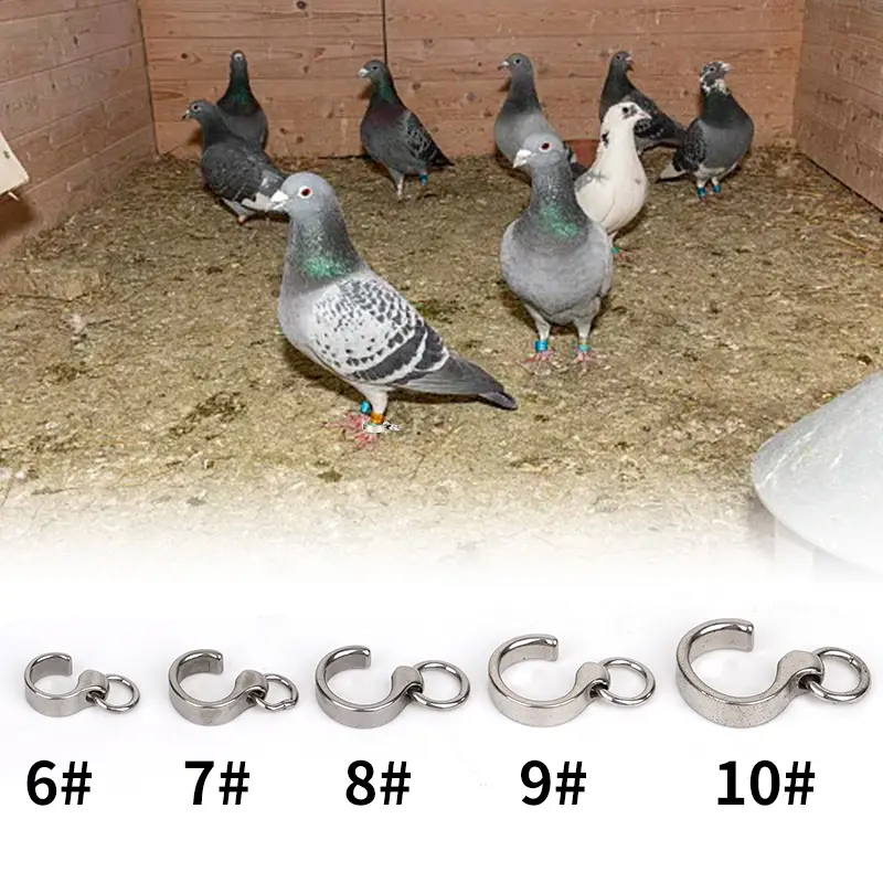 Parrot Anklet Stainless Steel Anklet Bird Pigeon Bird Ring Parrot Leg Outdoor Training Activity Opening Foot Ring Bird Supplies