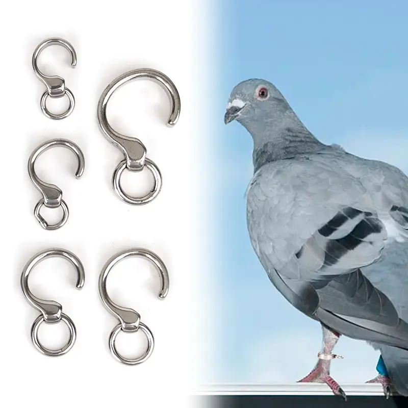 Parrot Anklet Stainless Steel Anklet Bird Pigeon Bird Ring Parrot Leg Outdoor Training Activity Opening Foot Ring Bird Supplies