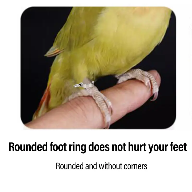 Parrot Anklet Stainless Steel Anklet Bird Pigeon Bird Ring Parrot Leg Outdoor Training Activity Opening Foot Ring Bird Supplies