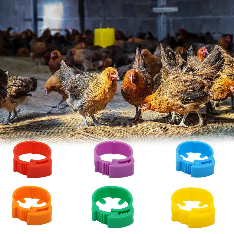 10/30/50Pcs Adjustable Poultry Chicken Foot Ring Identification Leg Rings Clip for Poultry Chickens Ducks Geese Parrot