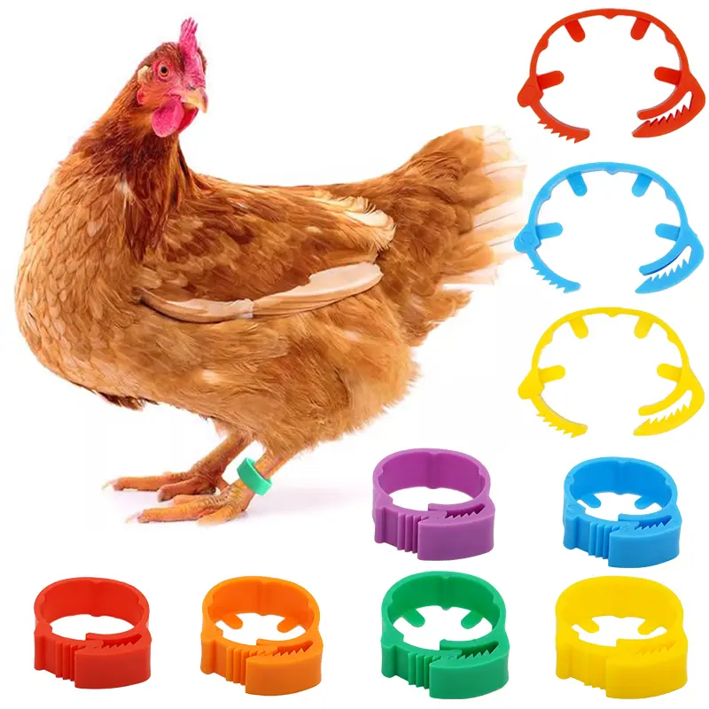 10/30/50Pcs Adjustable Poultry Chicken Foot Ring Identification Leg Rings Clip for Poultry Chickens Ducks Geese Parrot