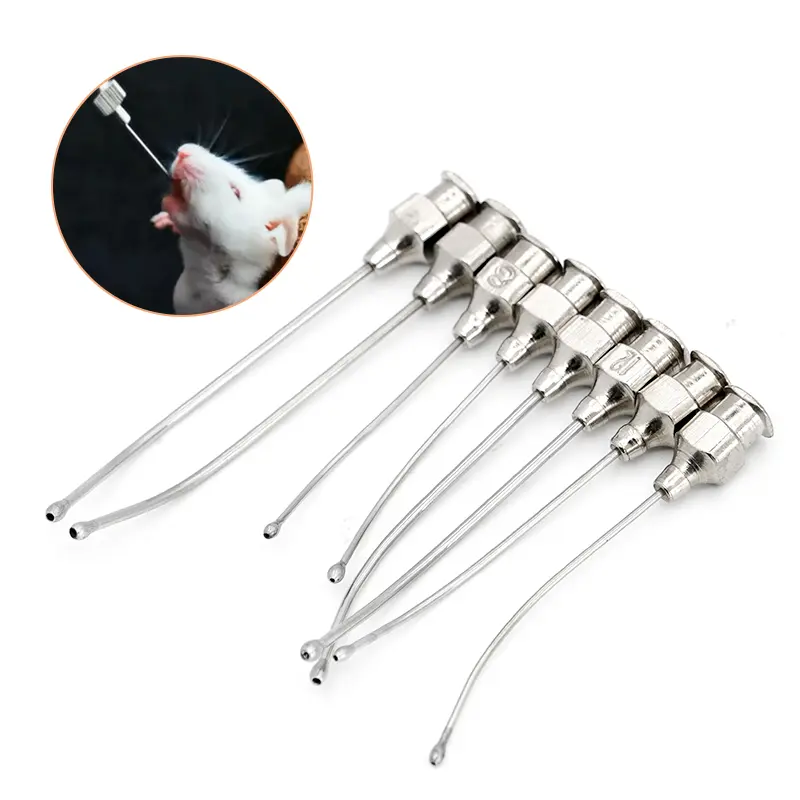 2Pcs Stainless steel gastric applicator Syringe nozzle rats and mice/parrots/birds/poultry livestock/pets Elbow needle