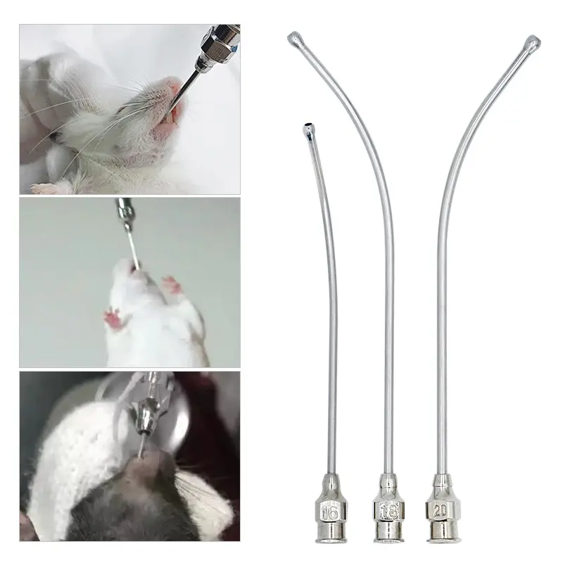 2Pcs Stainless steel gastric applicator Syringe nozzle rats and mice/parrots/birds/poultry livestock/pets Elbow needle