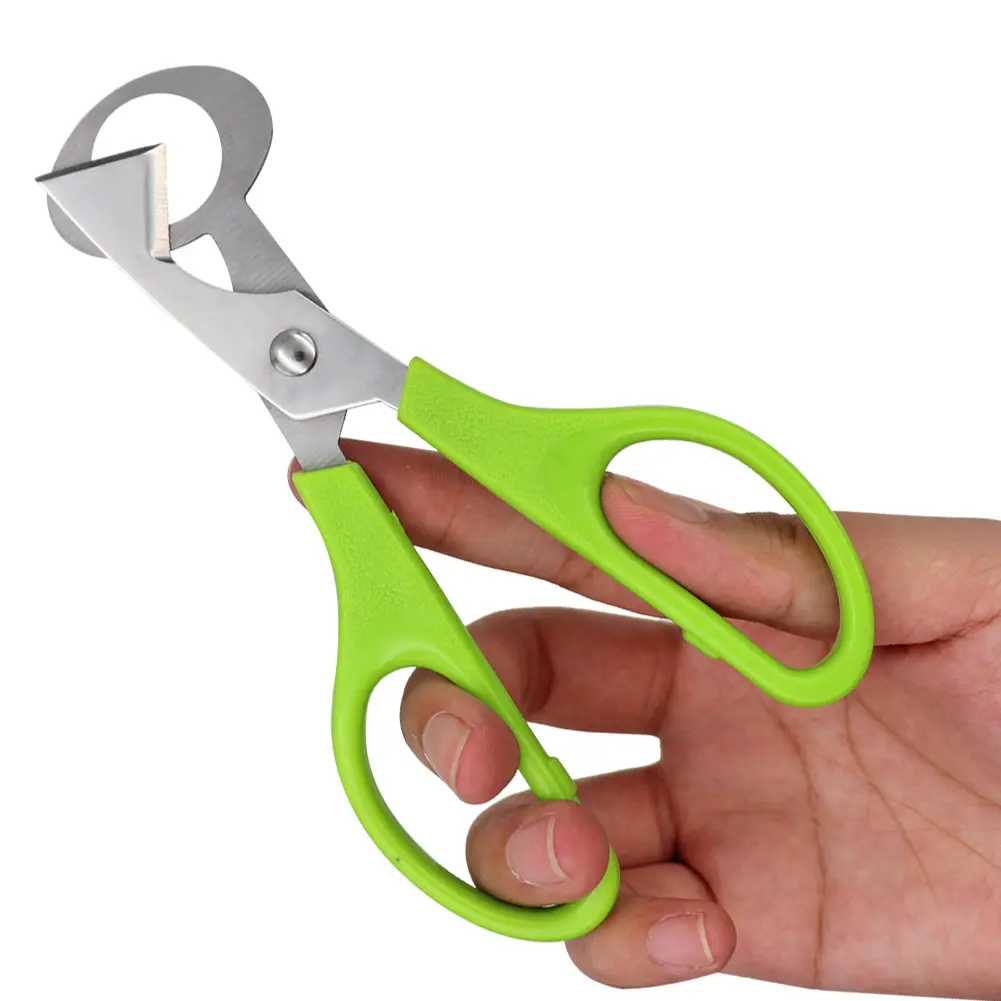 10PCS Stainless Steel Quail Egg Cutter Scissors Pigeon Bird Quail Egg Cutter Opener Cracker Kitchen Clipper Tool