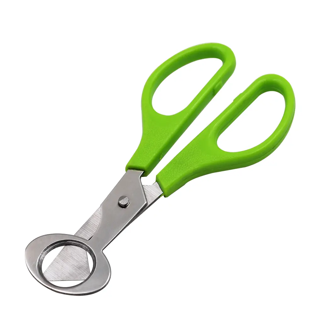 10PCS Stainless Steel Quail Egg Cutter Scissors Pigeon Bird Quail Egg Cutter Opener Cracker Kitchen Clipper Tool